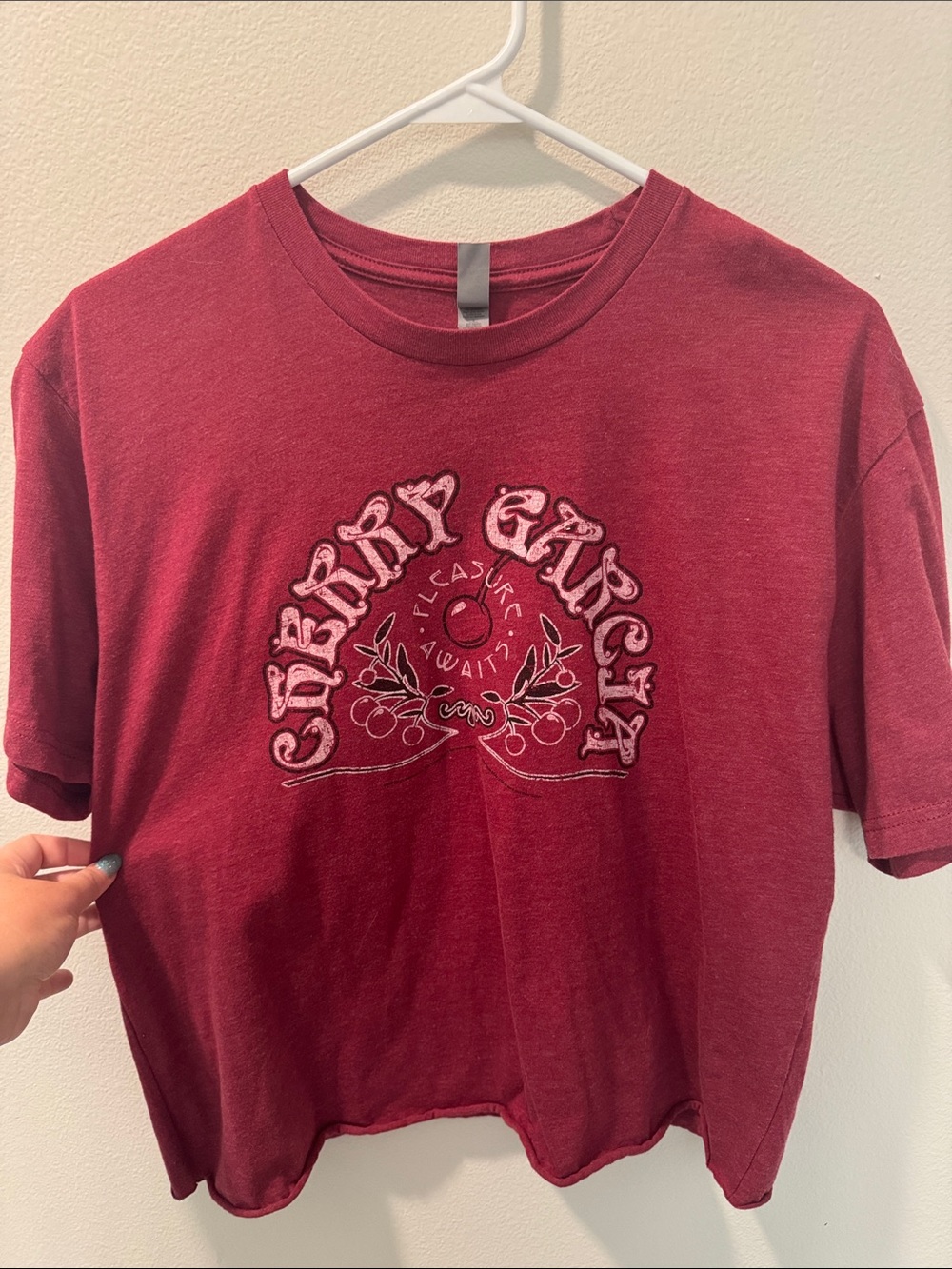 Cherry Garcia Graphic Short Sleeve Tee - Wine Red